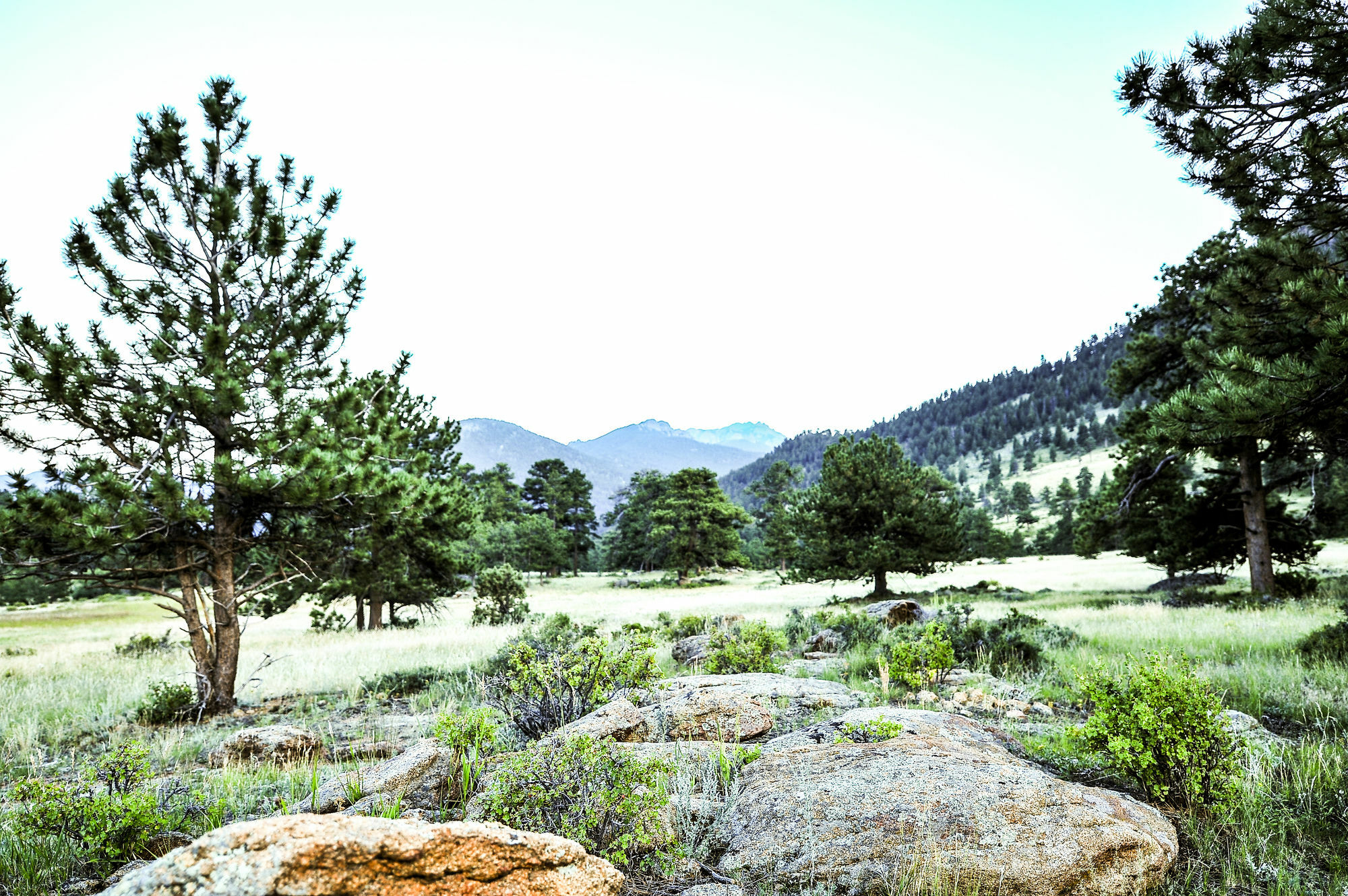 The Historic Crag'S Lodge Estes Park Dış mekan fotoğraf